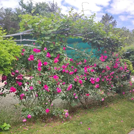 Holiday home Valmonida Mit Pool Zminj